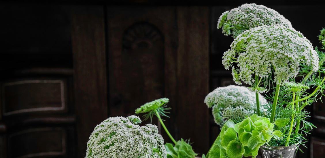 Responsabilité sociale des entreprises